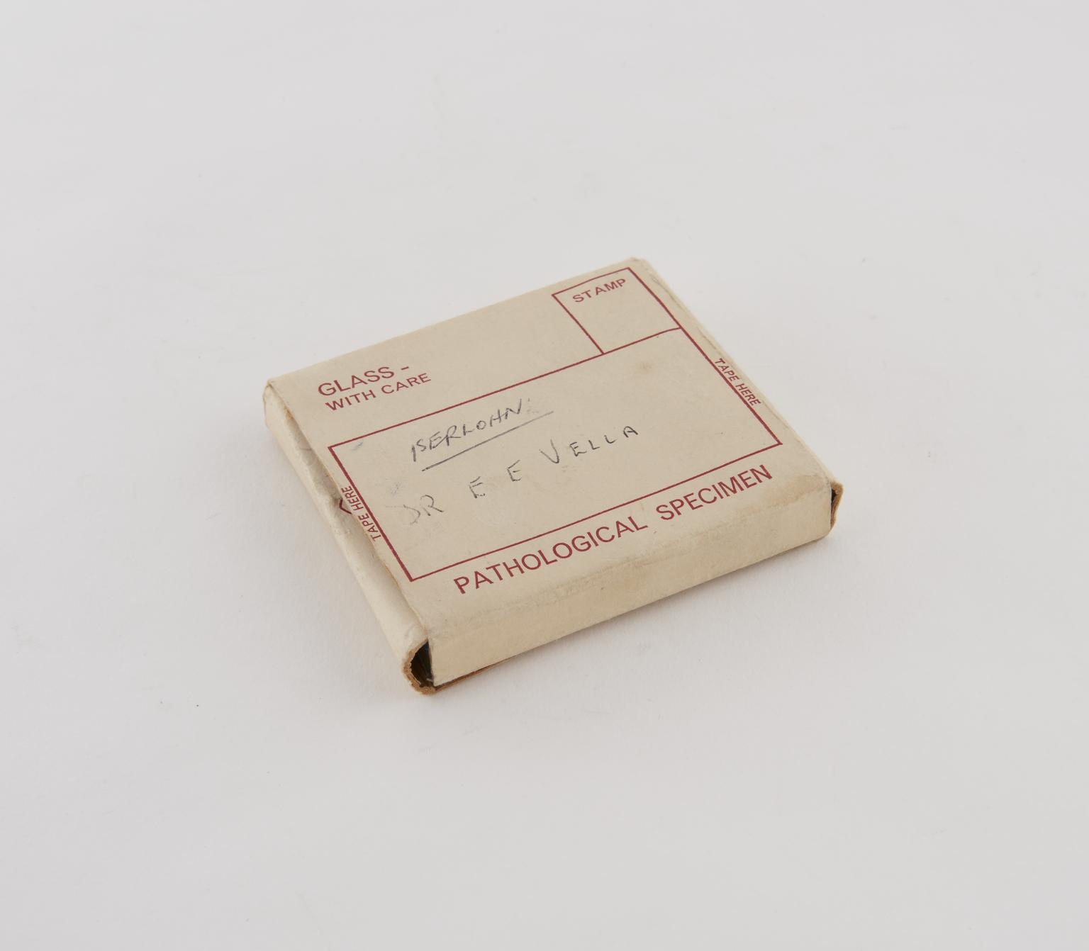 Tissue Slide Microscope Veterinary Four glass microscope slides showing rabies in animal tissues | Science ...
