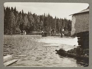 The Lower Mill - Pool, Zaretchie