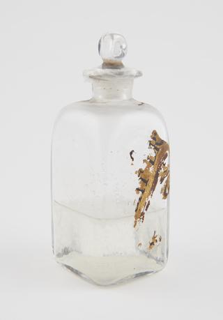 Drug bottle, with painted inscription