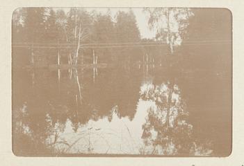 Gatchina, a Quiet Shot in the Inner Park