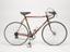 Raleigh Record 10-speed 22.5" frame cycle (cycle)