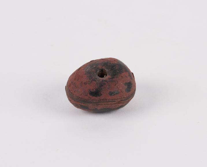 Small amuletic nut perforated through centre for suspension and