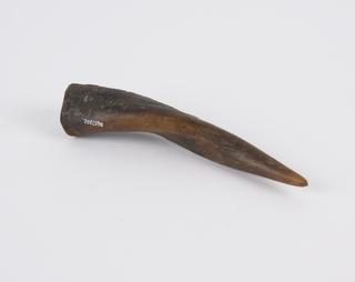 Gazelle horn, from medicine man's bag