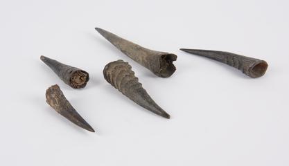 Five horns, two contain twigs and cloth