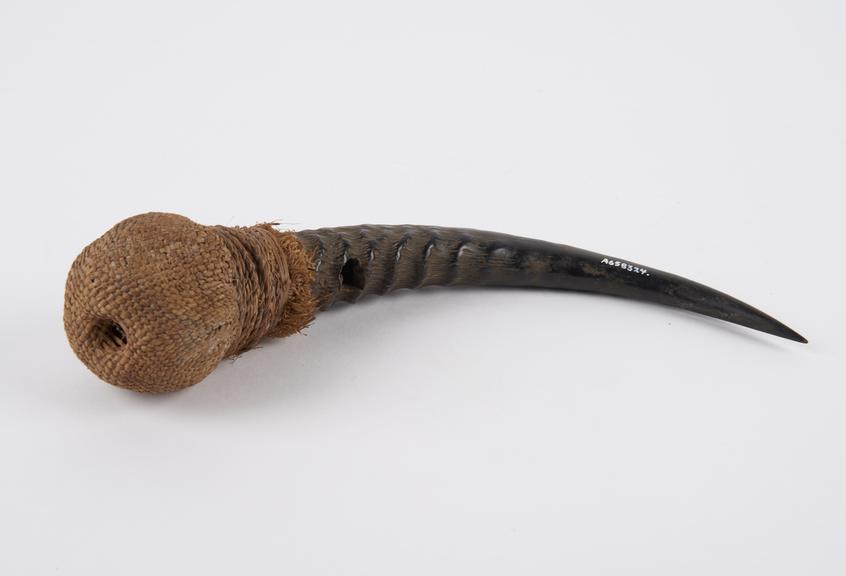 Medicine horn, curved, sharp point at apex