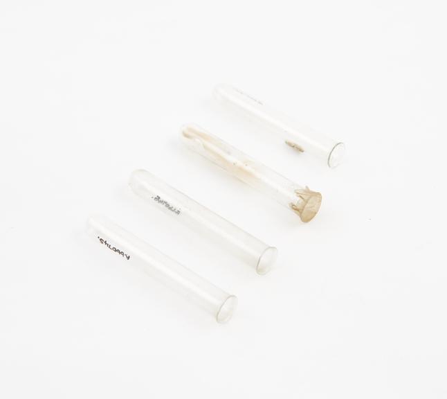 Four test tubes