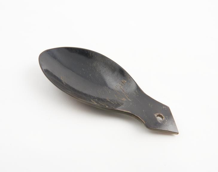 Horn spoon or scoop, 19th century