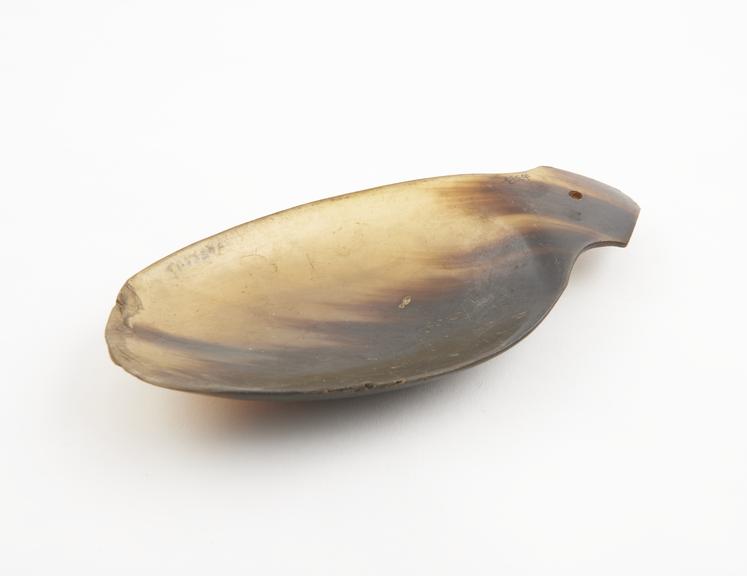 Horn spoon or scoop, European, 1801-1900