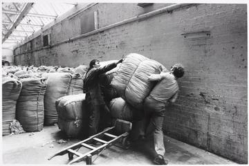 British Mohair