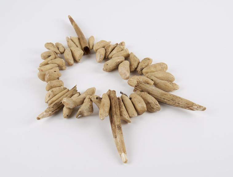 Amuletic necklace consisting of 4 tusks and 40 large blunt