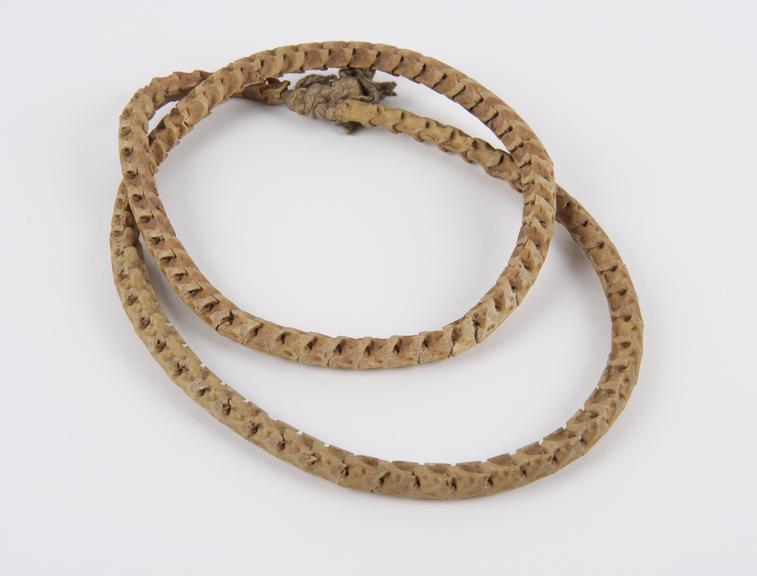 Amuletic necklace of snake vertebrae