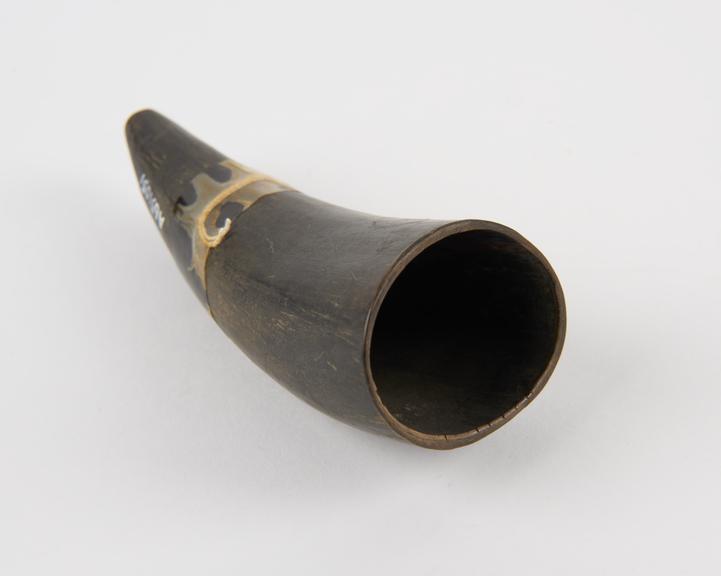 Hollow cupping-horn perforated at tip, African, 1880-1920