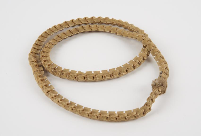 Amuletic belt made of snake vertebrae