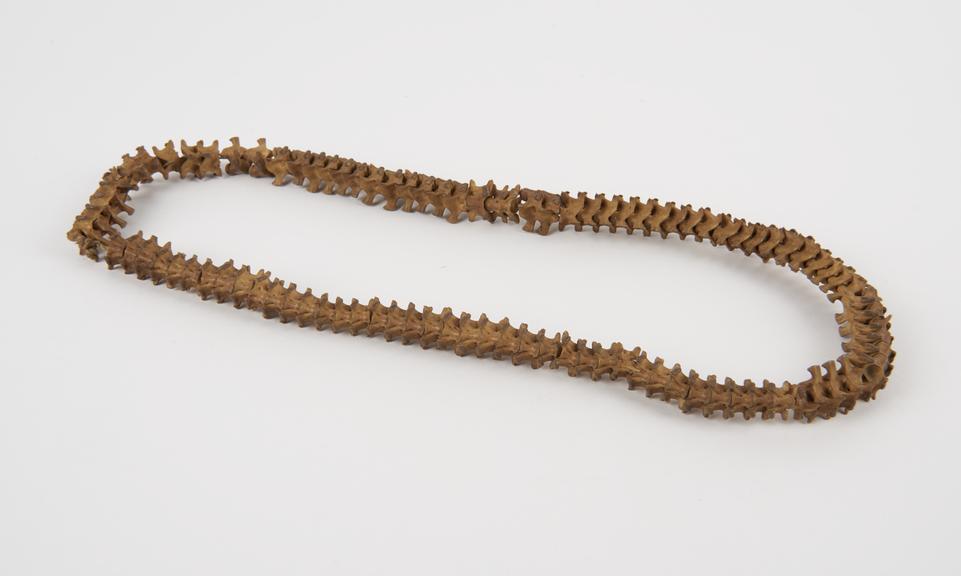 Amuletic belt or possibly necklace made from string of snake