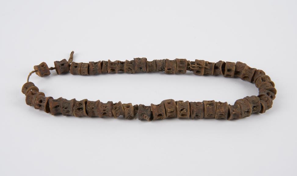Amuletic necklace of snake vertebrae threaded onto string