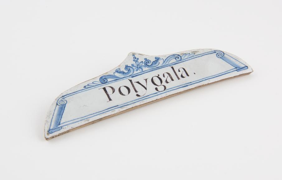 Tin-glazed earthenware drawer label, inscribed Polygala'