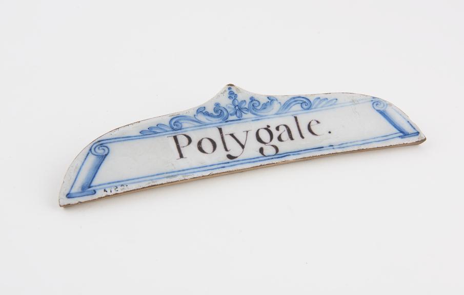 Tin glazed earthenware drawer label, inscribed Polygale'