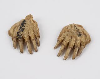 Pair of dried mole's feet