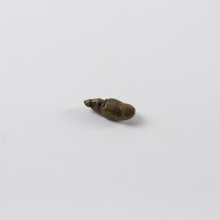 Ashanti Gold-smiths' weight from West Africa, fish form