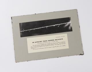 Black and white photographic print from a negative by Pierre Auger, Paris, France, showing delta-rays produced by an alpha-ray from thorium C1 in passing through hydrogen