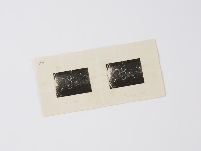 Stereoscopic pair of photographic prints mounted on paper