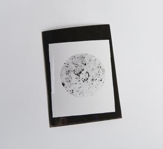 Prints showing the recording of the tracks of atomic particles, in electron-sensitive photographic emulsions