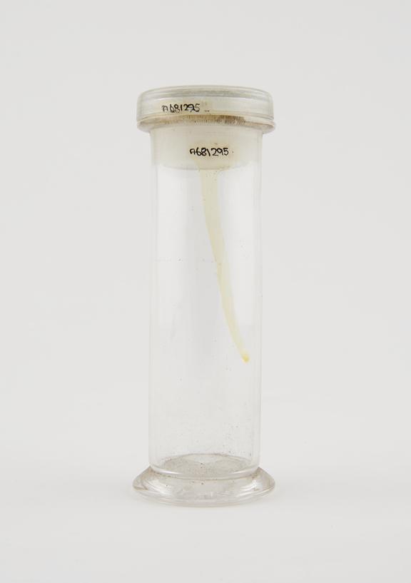 Glass specimen bottle, empty, English, 1901-1940