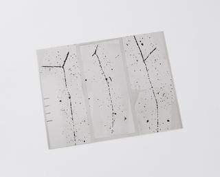 Atom track photograph using ‘Nuclear Research’ emulsion