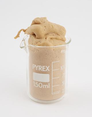 Sample of "Silastic" foam dressing