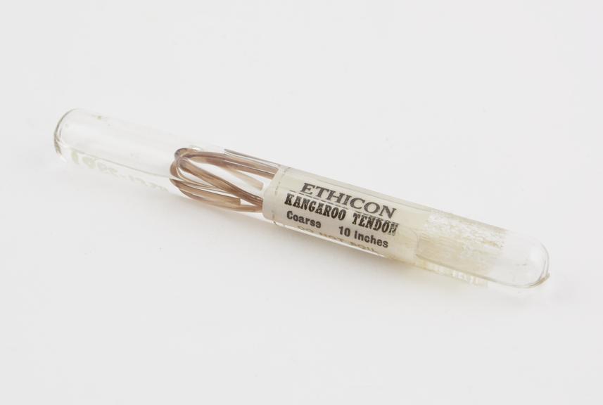 Ethicon kangaroo tendon for use as suture, Johnson and Johnson