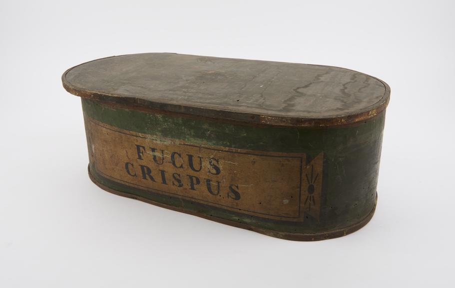 Oblong wooden box, with lid, painted green and gold