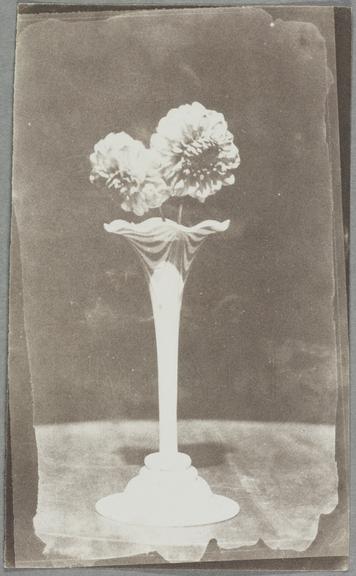 Paper salt print of two dahlias in a vase