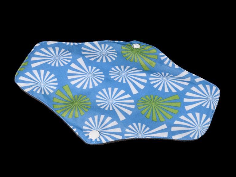 Nine reusable menstrual pads and carry case