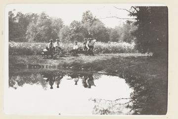 The Pond Below the Farm, Good Reflections