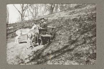 Pr.Nikita Feeds the Tame Deer