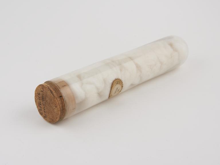 Glass tube filled with cotton wool, from Elswick Lead Works