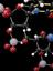 Ball and spoke model of structure of deoxyribonucleic acid (