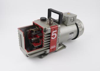 Rotary vacuum pump