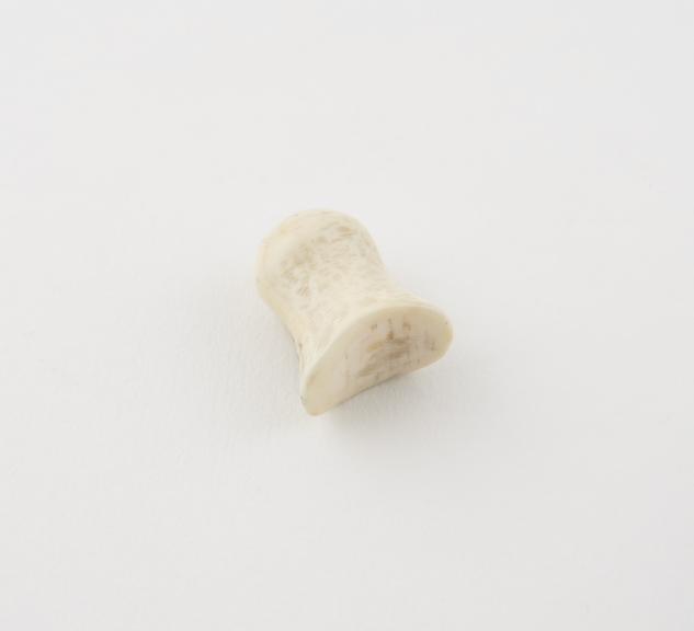 Ivory labret, Eskimo, North America, 1851-1900