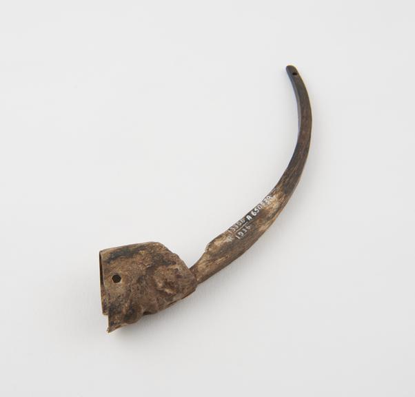 Carved mountain goat horn head with long spur rising from