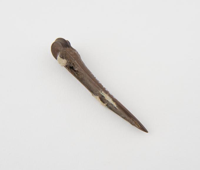 bone awl, from lake dwellings, Fout, Switzerland, neolithic