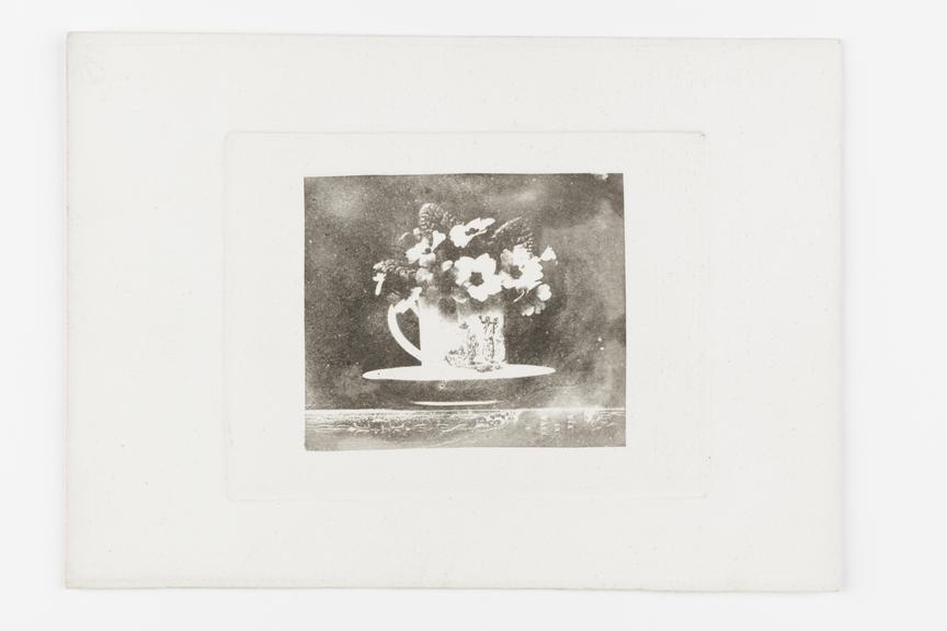 Photoglyphic print of primroses arranged in a teacup