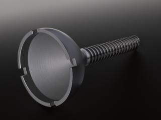 Ringed titanium hip prosthesis with screw stem