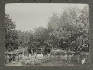 View of the garden from a front window