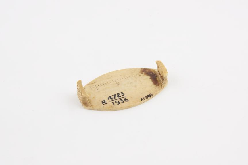 Ivory plessimeter with scale