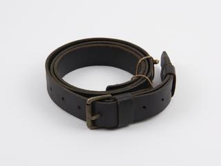 Carrying strap for portable subjective noise meter