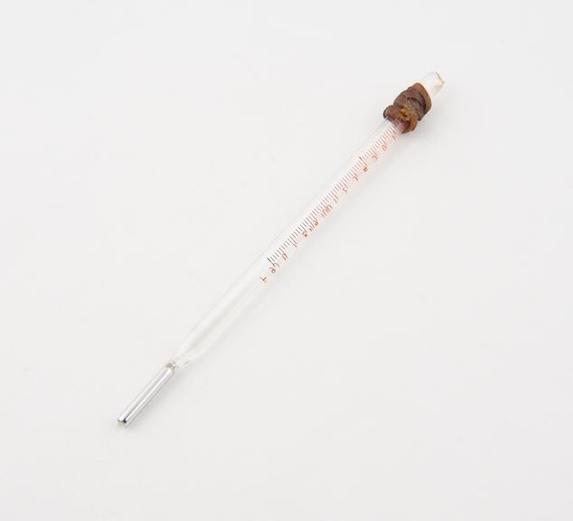 Clinical Thermometer Family', long bulb, lens stem, by G.H