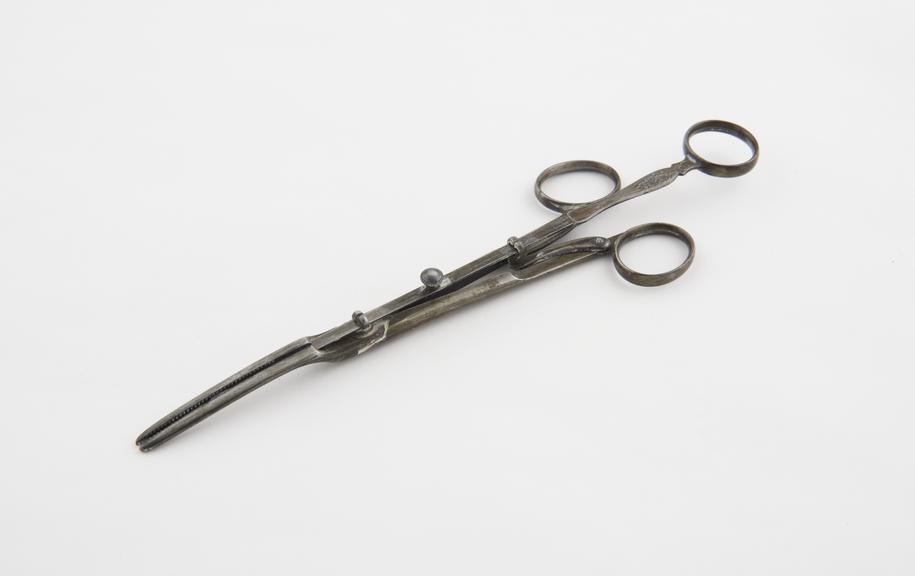 Nasal polypus guillotine, steel