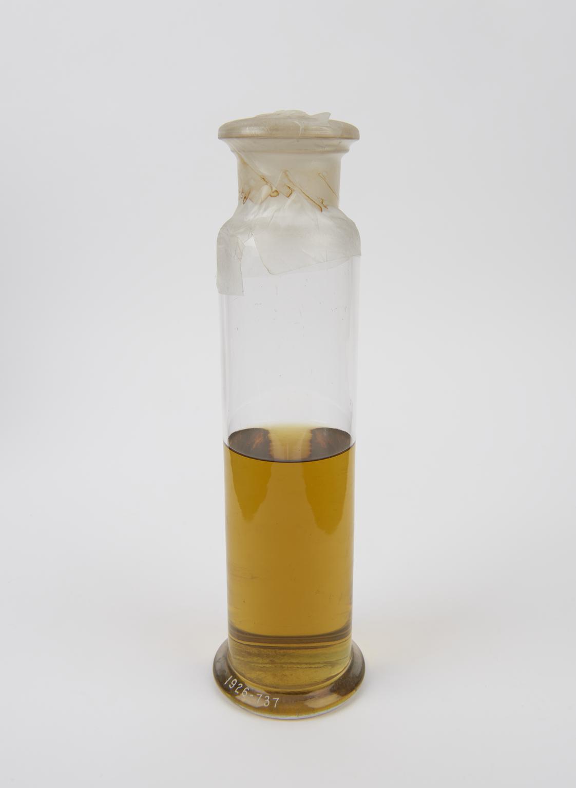 One specimen of chlorophyll, alcoholic solution. | Science Museum Group ...