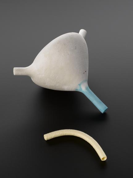 3D printed bladder made from animal cells